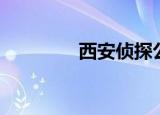 西安侦探公司（西安侦探）