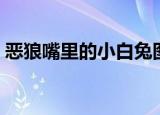 恶狼嘴里的小白兔图片（恶狼嘴里的小白兔）