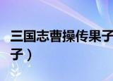 三国志曹操传果子怎么分配（三国志曹操传果子）