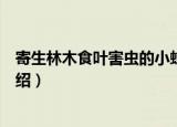 寄生林木食叶害虫的小蜂（关于寄生林木食叶害虫的小蜂介绍）