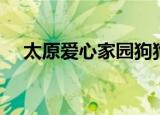 太原爱心家园狗狗现状（太原爱心家园）