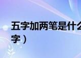 五字加两笔是什么字啊（五加一笔有32个汉字）