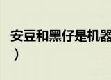 安豆和黑仔是机器人吗（安逗黑仔是机器人吗）