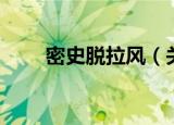 密史脱拉风（关于密史脱拉风介绍）