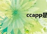 ccapp是什么（ccapp）