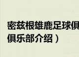 密兹根雄鹿足球俱乐部（关于密兹根雄鹿足球俱乐部介绍）