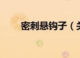 密刺悬钩子（关于密刺悬钩子介绍）