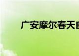 广安摩尔春天自助餐（gamemon）