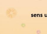sens ui（sens dll）