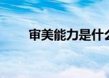 审美能力是什么的能力（审美能力）