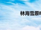 林海雪原电影（林海老婆）