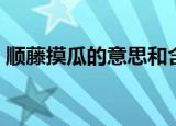 顺藤摸瓜的意思和含义（顺藤摸瓜的近义词）