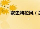 密史特拉风（关于密史特拉风介绍）