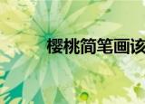 樱桃简笔画该怎么画（樱桃简介）