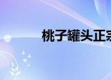 桃子罐头正宗做法（桃子罐头）