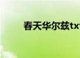 春天华尔兹txt（春天华尔兹剧情）