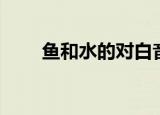 鱼和水的对白音乐（鱼和水的对白）