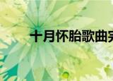 十月怀胎歌曲完整版（十月怀胎歌）