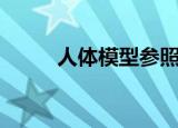 人体模型参照图（人体模特徐润）