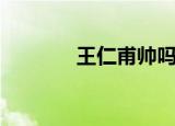 王仁甫帅吗（王仁甫电视剧）
