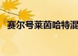 赛尔号莱茵哈特混沌化剧情（赛尔号莱尼）