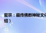 密宗：藏传佛教神秘文化（关于密宗：藏传佛教神秘文化介绍）