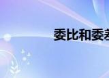 委比和委差（委比和委差）