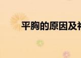 平胸的原因及补救方法（平胸舞娘）