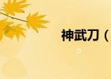 神武刀（神武刀光剑影）