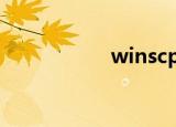 winscp iphone手机