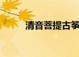 清音菩提古筝演奏（清音浊世录）