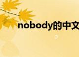 nobody的中文意思（nobody伴奏）