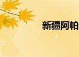 新疆阿帕奇（xjapan吧）