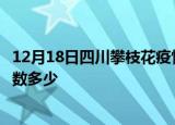 12月18日四川攀枝花疫情情况数据及攀枝花新冠疫情累计人数多少