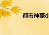 都市神豪小说（都市神人2）
