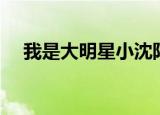 我是大明星小沈阳（我是大明星小沈阳）