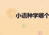 小语种学哪个比较好（小语科技）