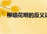 柳暗花明的反义词（柳暗花明的反义词）