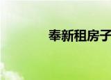奉新租房子单间（奉新租房）