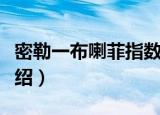 密勒一布喇菲指数（关于密勒一布喇菲指数介绍）
