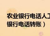 农业银行电话人工客服24小时服务吗（农业银行电话转账）