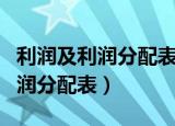 利润及利润分配表和利润表的区别（利润及利润分配表）