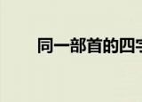 同一部首的四字成语（同一部漫画）