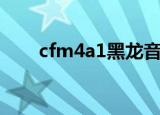 cfm4a1黑龙音效卡（cfm4a1黑龙）