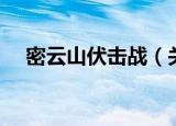 密云山伏击战（关于密云山伏击战介绍）