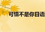 可惜不是你日语版（可惜不是你 日语）