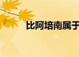比阿培南属于哪类抗生素（bap）