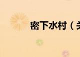 密下水村（关于密下水村介绍）