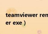 teamviewer remote control（teamviewer exe）