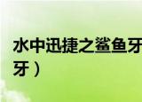 水中迅捷之鲨鱼牙有什么用（水中迅捷之鲨鱼牙）